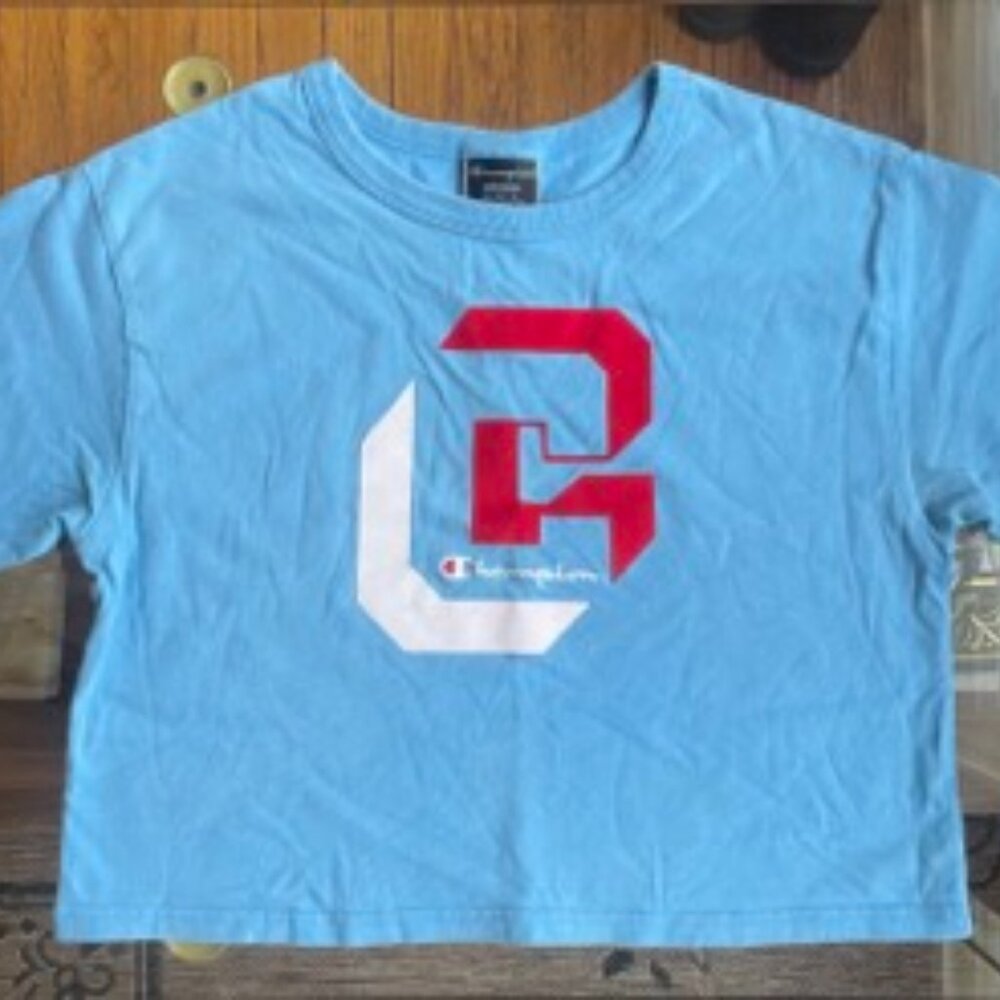 Cropped baby blue champion t-shirt